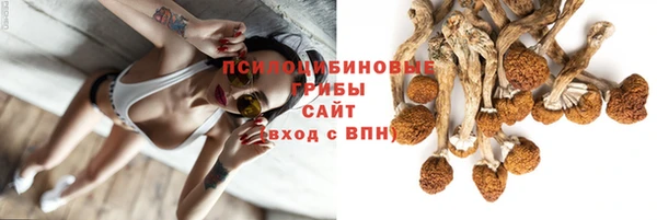 бошки Верхний Тагил