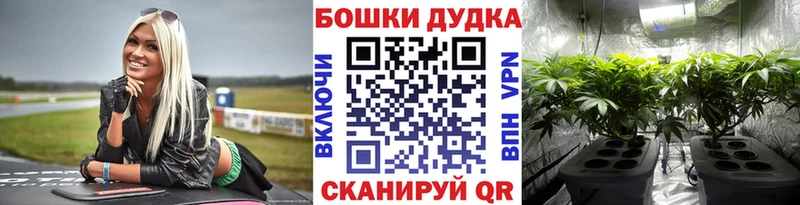 Бошки Шишки MAZAR Рязань